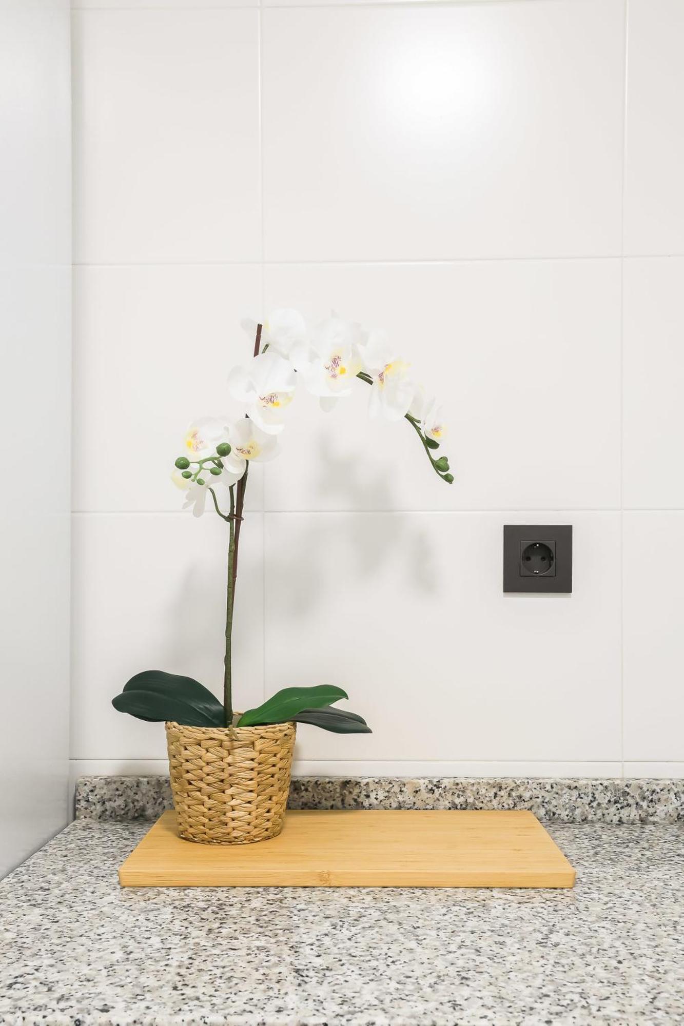 Apartamento Palermo Living Suites En Burriana Extérieur photo